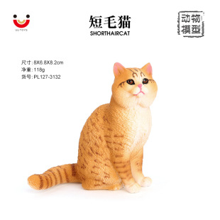 �������ģ�͌����o�B��؈��ë؈����؈��ͯ����J֪����b[��