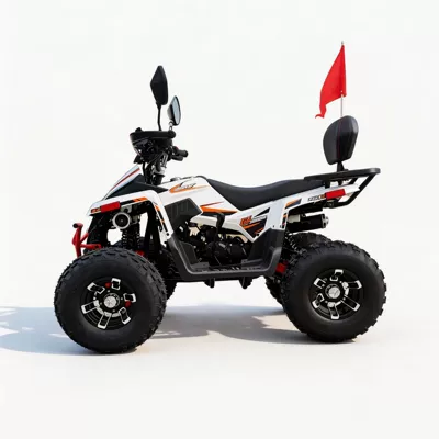 four-wheel kart, off-road motorcycle, Elektrikli motosikletlər