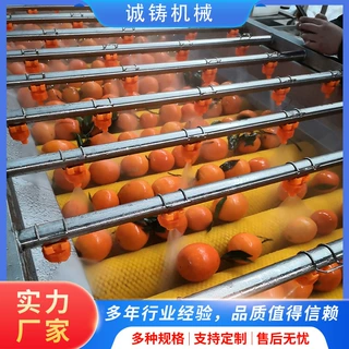 全自动果蔬平行毛辊清洗风干一体机橙子毛刷清洗机毛桃去毛清洗机
