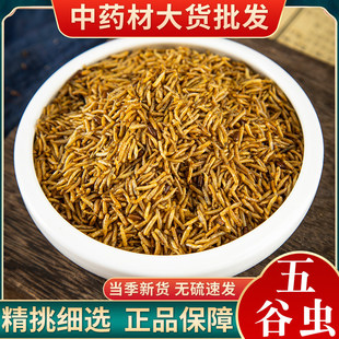 �S���x ����x ��؛ʳ��500�˰��]���и��� ����x �nω