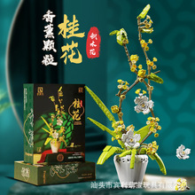 ������92010�����Ի����ڼ�Ů��ƴװ��޹С������ľ������ռ�