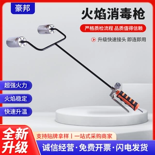火焰高温消毒枪养殖场猪场消毒枪多头液化气喷枪煤气喷火枪多头