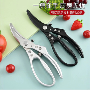 �N�������������u���^�X�����u���Z���^���P�ʳ������������