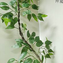 仿真藤条款假花批发客厅大型榕树水管假树墙面叶绿墙上满减优惠券