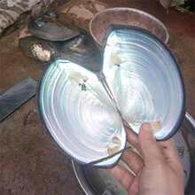 �Ӱ����b�ؐ��Ƭdiy������Ȼ�[�P�������Ȕ[�����I�̌W��Ʒ