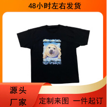 海豹狐狸蜥蜴野生动物大全图案美式复古宽松休闲穿棉短袖男女T恤