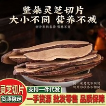 `֥Ƭ500LɽƷ֥Ұ`֥Ƭݾˮ`֥`֥Ƭ