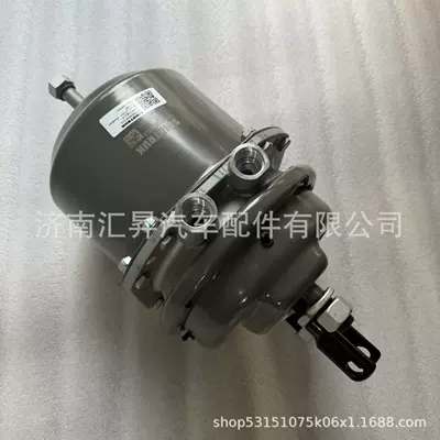 WG9000360910 Rear Other walking systems