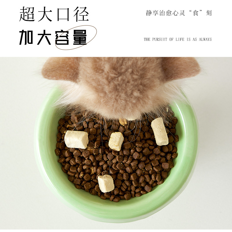 Tazón de cerámica para gatos Tazón para mascotas Tazón de helado Pie alto Diagonal Protección para el cuello Anti-volcado Tazón de comida para gatos Tazón para beber Tazón para perros al por mayor