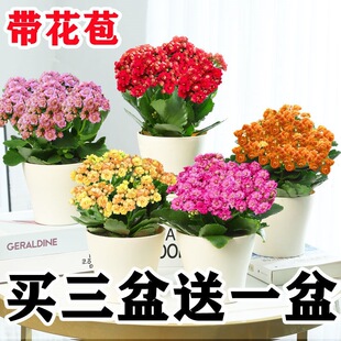 �L�ۻ����Ԏ����������ذ��ļ��_����ֲ���҃ȾGֲ�r�����B�d�ӻ�