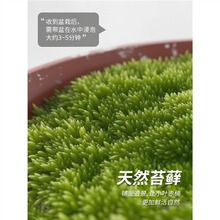 С�~����辰ֲ���Ϙ���z�ľ������ʽ�U���k���҃�����Gֲ����