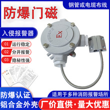 防爆门磁 有线开关感应器 入侵式报警器周界安防门窗防盗探测器
