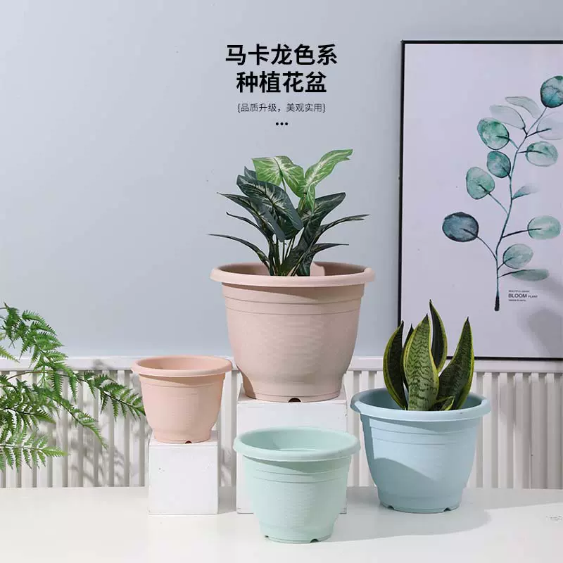 新款马卡龙pp树脂花盆控根深大号塑料仿陶瓷绿萝加仑盆北欧简约盆