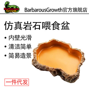 Climbing pet food basin water basin lizard palace guard horned frog hermit crab snake imitation rock landscape luminous reptile feeding basin manufacturers