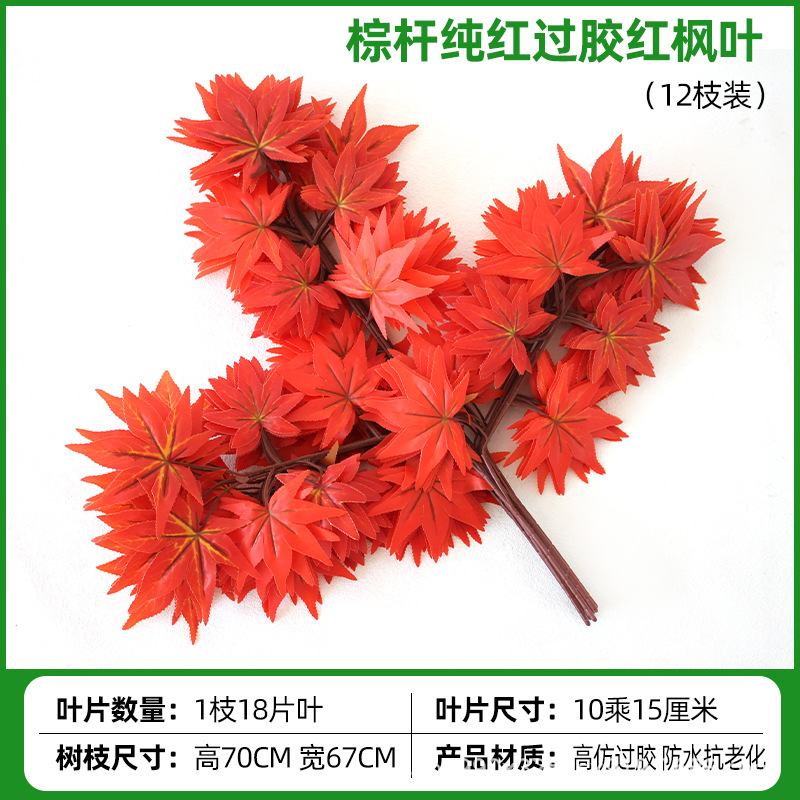 접착된 갈색 줄기 순수한 붉은 단풍잎(12가지)