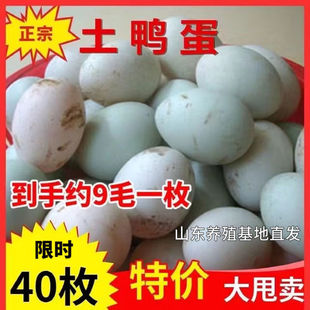 ����ɢ�B�������������l�������r���r�Һ��^���r������}���l