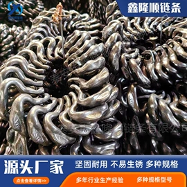 起重链条;传动链;链轮