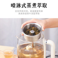 新款瑞本煮茶器小型養生壺茶專用玻璃家用辦公室煮茶壺小家電禮品