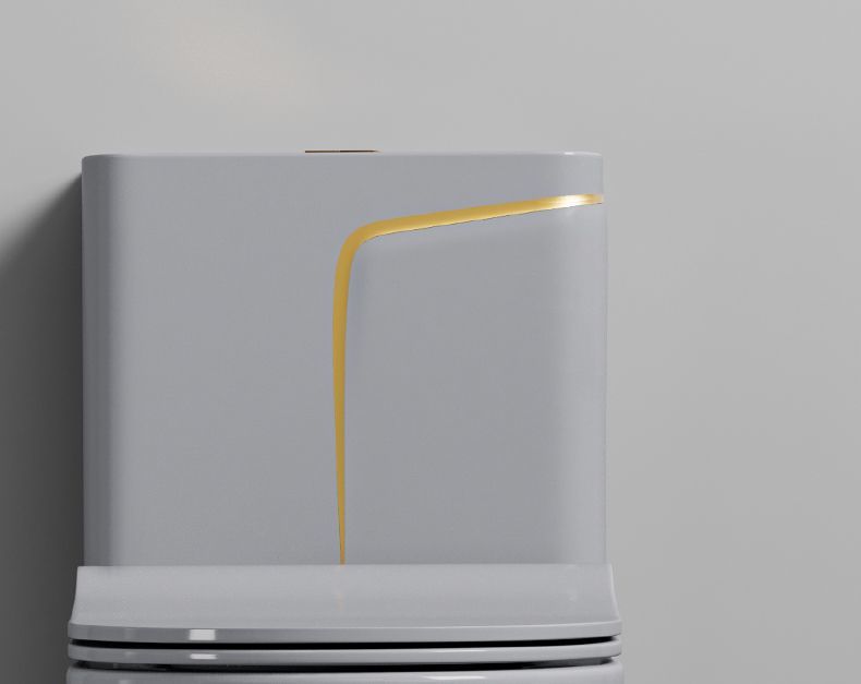 The toilet is a grey household water pump ceramic with a colorful siphonic anti-odor type. It is a high-flush toilet seat and toilet bowl undefined