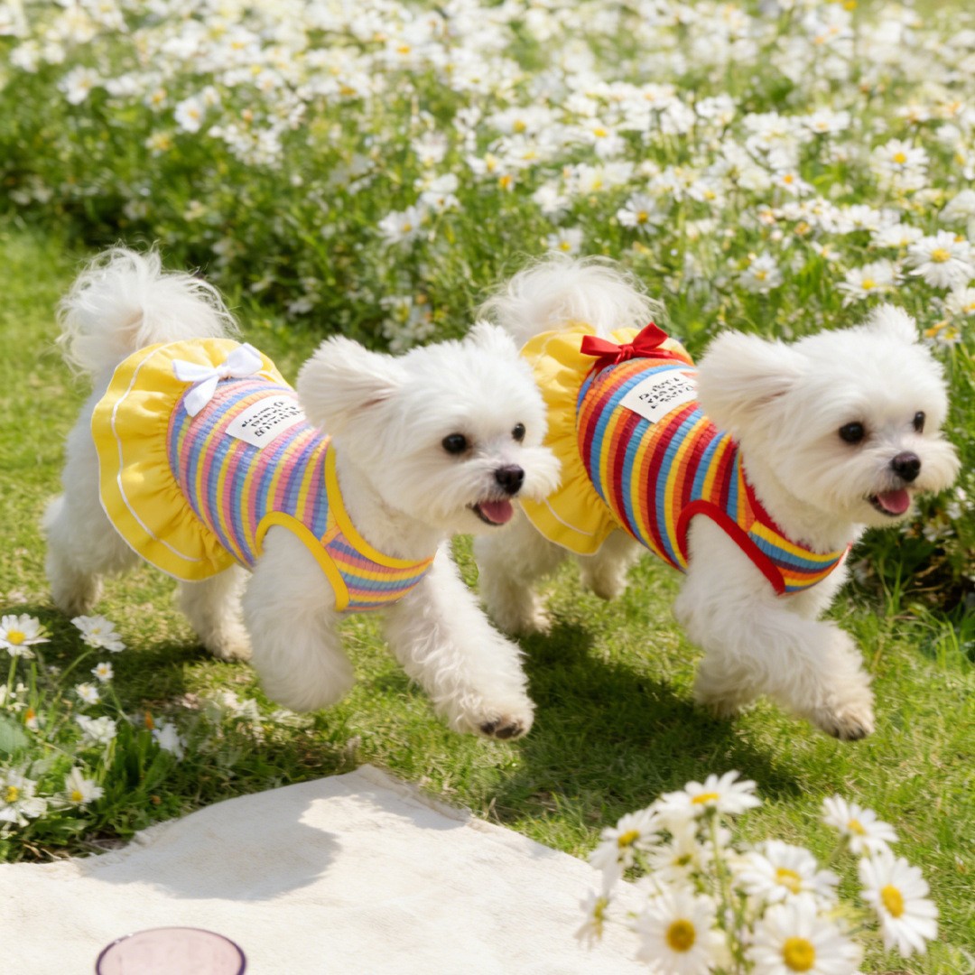 Sun-protective Clothes, Rainbow Striped Outdoor Camping Pet Dress, Thin Summer Dog Clothes_voghion.com