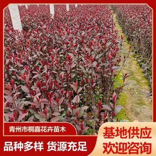 �G�h���ع������^�쾰��·�@�ֹ��̾G����G�����~���ѱ���