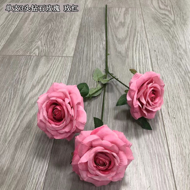 3송이 다이아몬드 로즈, 핫핑크