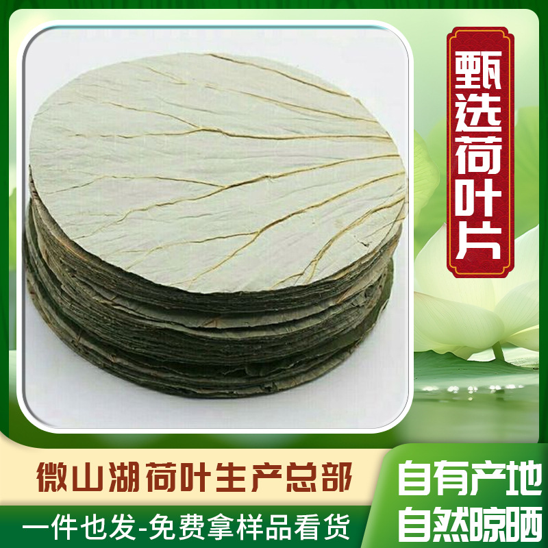 厂家直销微山湖干荷叶糯米鸡木桶饭垫底新鲜莲藕叶 圆形荷叶整张