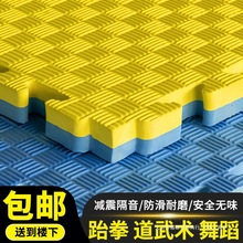 跆拳道地墊舞蹈武術訓練墊子搏擊格斗散打拳擊墊隔音防震健身地墊