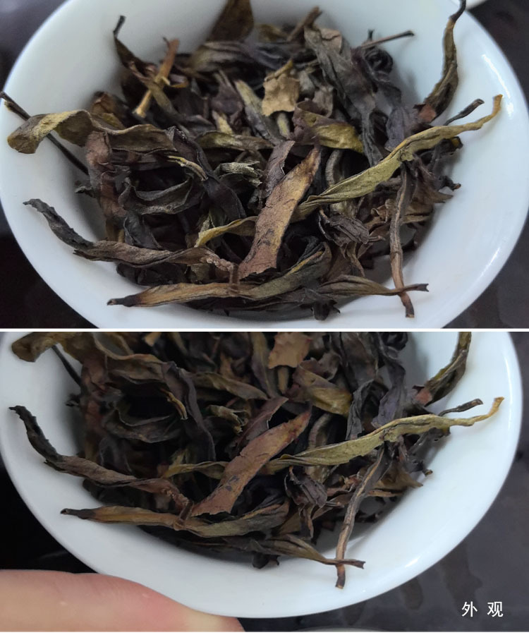 单丛二米茶容1