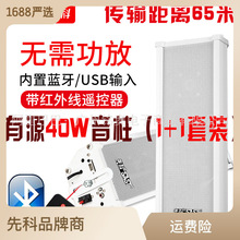 先科 无线蓝牙音响室外防水音柱壁挂式挂墙式套装商门头超市服装