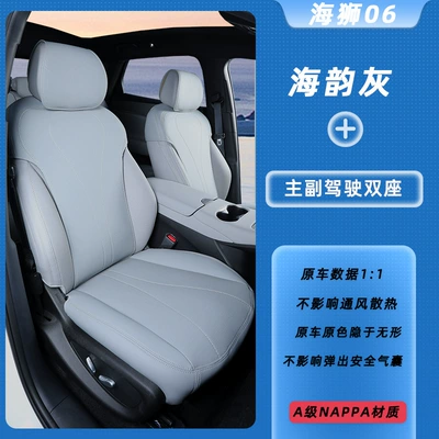 Modelə uyğun (Original) oturacaq örtükləri Hiace 06Dmi/Ev Seat Cushions, Full-Cover - haiyun-gray-main-and-co-pilot-seats-byd-hiace-06-new-energy-dmi