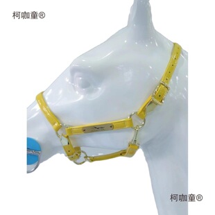 �R�\�^���氰������R��������Ƥ�R�g�R�\�^���{���\�^���R��̫��