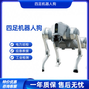 Voice AI Big Model Body Intelligent Bionic Companion Robot Quadruped Robot Dog Education and Scientific Research Can be Secondary
