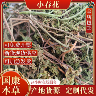 �F؛���lС����һ���ꎵ�ާ�߲�Ҋ���_���uꎵ��ʻ�ާ �������u