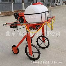 ״ַʽșC 100ʽ^FC ݆{