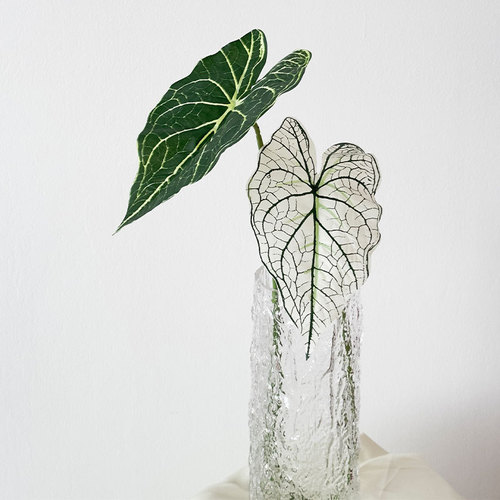 Alocasia leaf simulation flower forest leaf material wedding decoration plant simulation green plant indoor living room flower arrangement Guanyin lotus