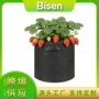育苗跨境轻薄源头美植袋