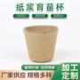 植物可降解跨境园林育苗杯