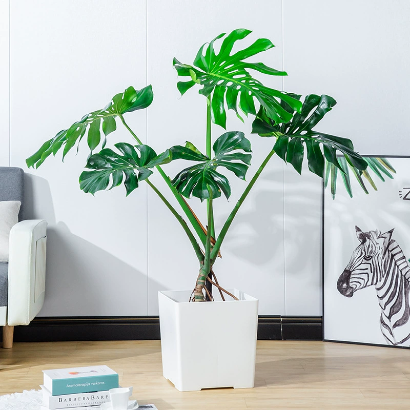 Бутик бамбуковая черепаха бамбуковая большая гостиная в горшке гидропонное растение четыре сезона Хорошая сельскохозяйственная черепаха бамбуковая горшка оптом вода