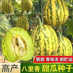 ��������ϷN�ӻ�Ƥ�G�����������ͥԺ���ﴺ��¶�����Բ��N