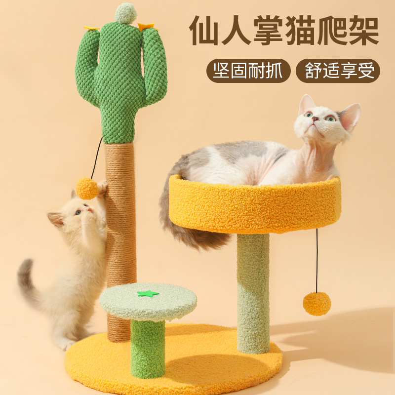 고양이 등반 프레임 고양이 장난감 통합 선인장, 높이 64cm, 새끼 고양이 전용