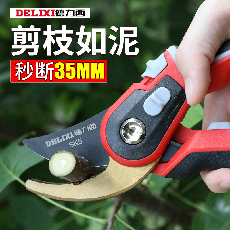 德力西园艺果树修枝剪园林枝剪剪枝剪子花卉花艺修剪树枝专用剪刀