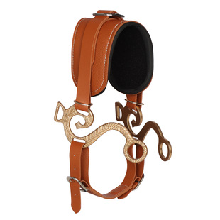 �Z�R�\�^�Rƥ�b��Ƥ���R�\������ Train the horse with a bridle