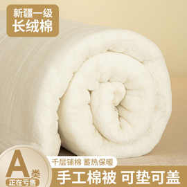 新疆棉花被子学生宿舍纯棉胎加厚冬被芯春秋被棉絮床垫被褥子