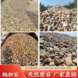 天然鹅卵石园林铺路石雨花石杂色观赏石河道高硬度大工程造景