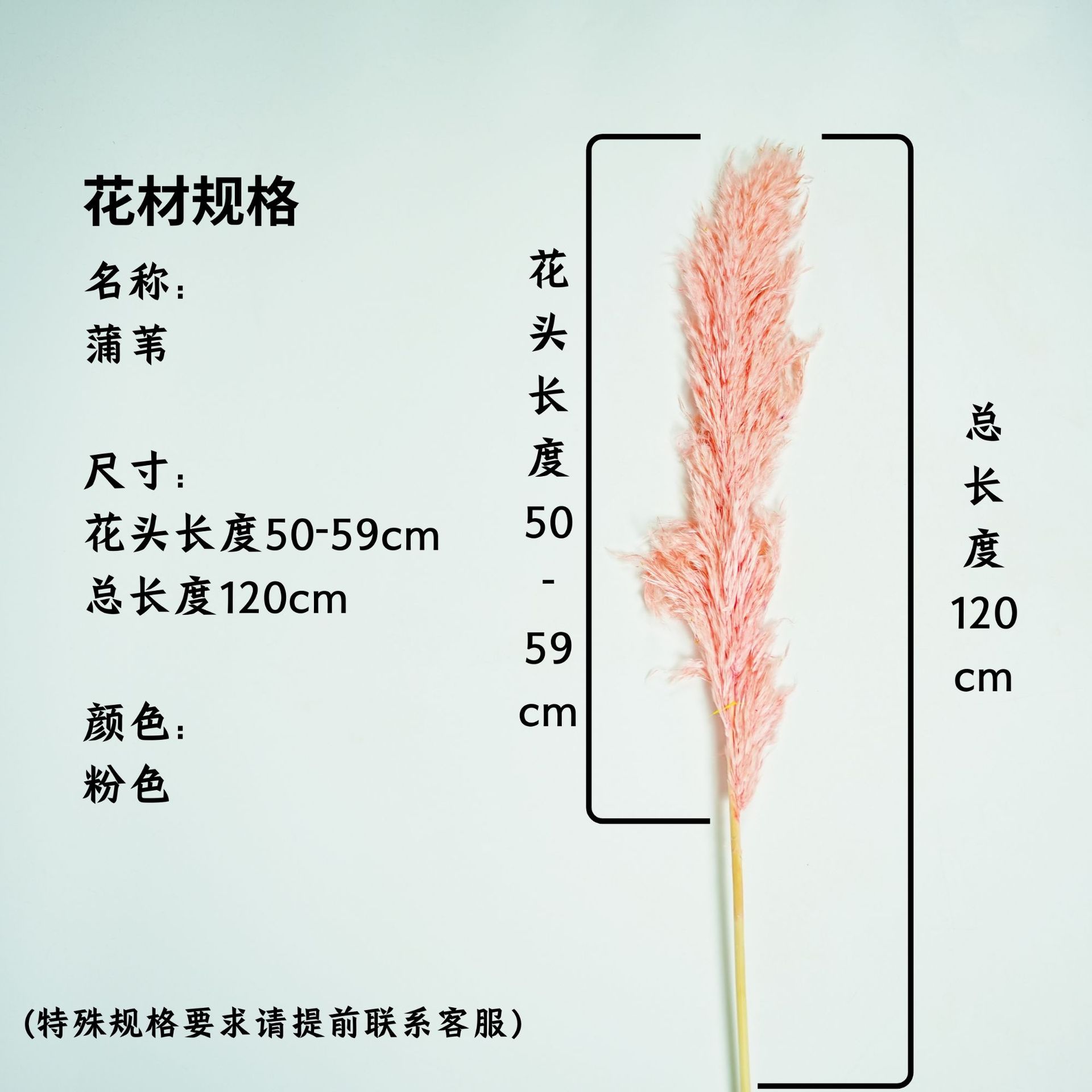 꽃머리 50~59cm 핑크