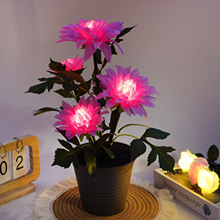 ���Sֱ�Nī��������l�����������ĵ������ș�@�ֻ����[����Ի�