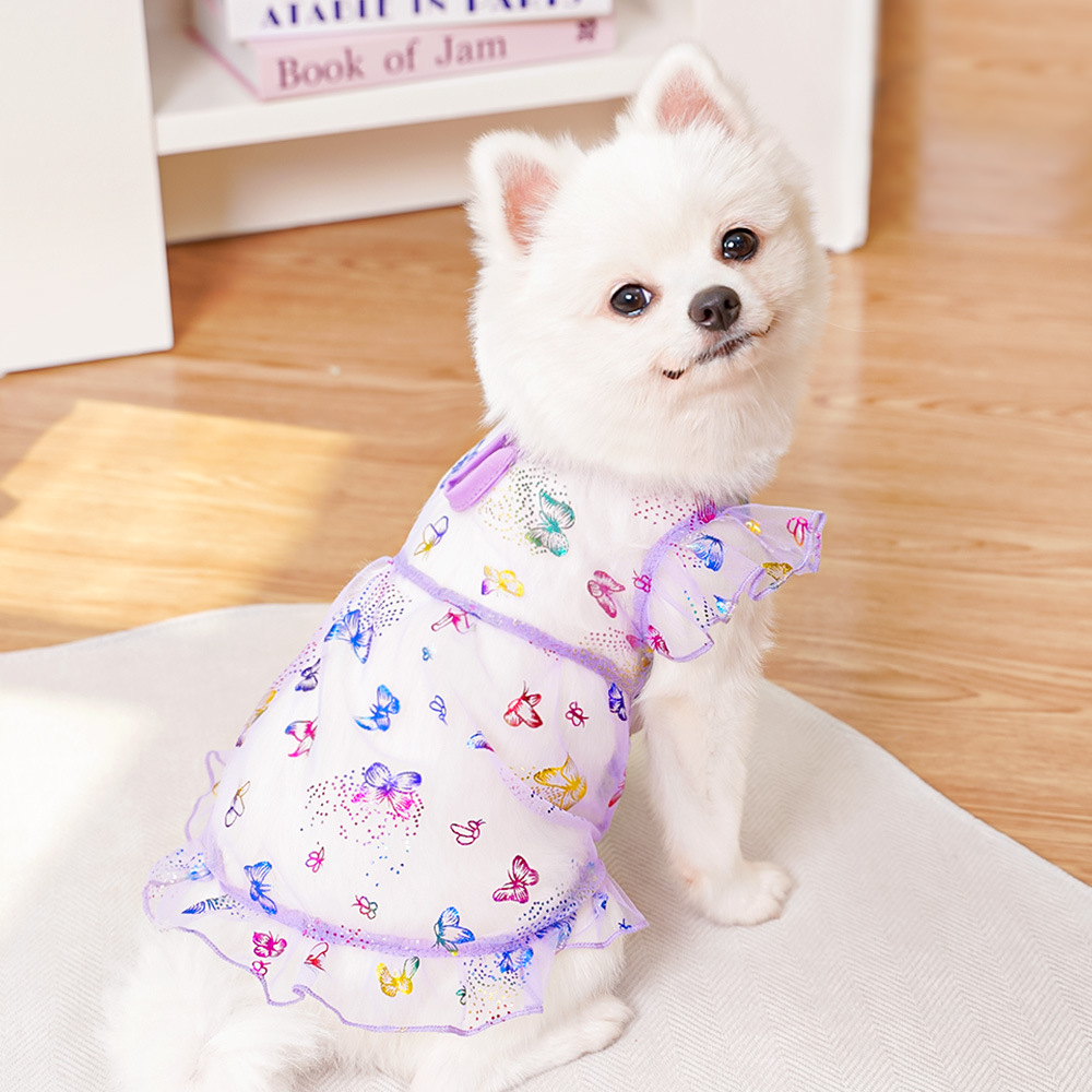 Los gatos domésticos pueden salir con amor, vestidos de verano, suministros para perros, ropa para perros Corgi, ropa para perros