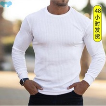 Men's long sleeve T-shirt shirt jacket TL佡