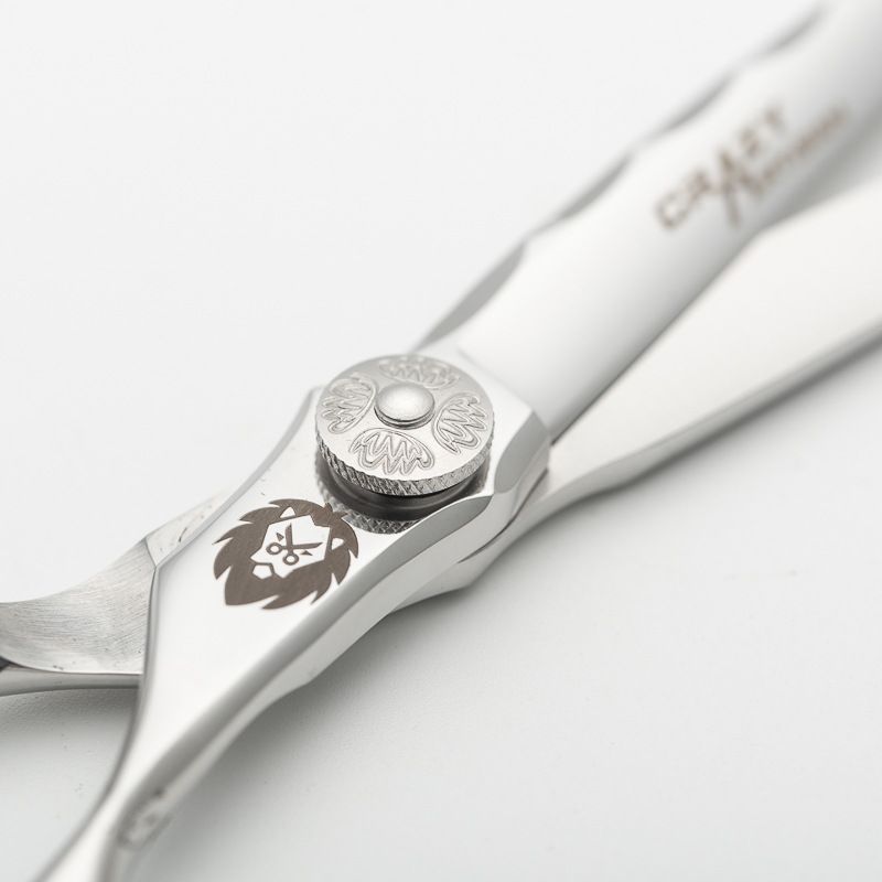 Ciseaux de coiffure professionnels en acier 440c pour salon_voghion.com